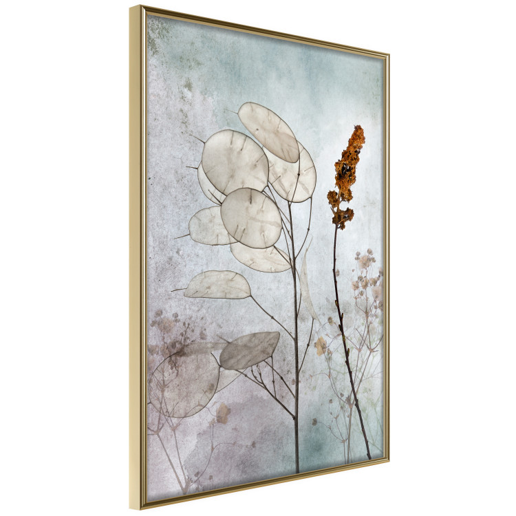 Poster Misty Lunaria - romantic meadow composition with flowers on a light background 135100 additionalImage 9