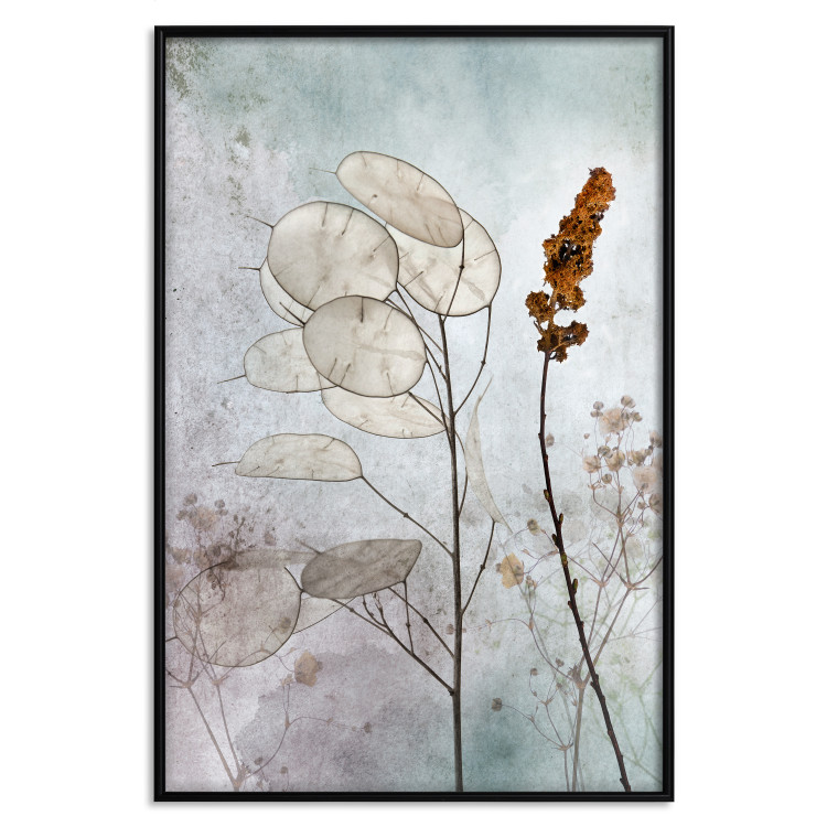 Poster Misty Lunaria - romantic meadow composition with flowers on a light background 135100 additionalImage 18