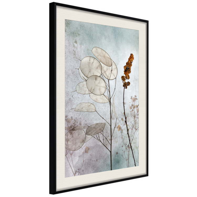 Poster Misty Lunaria - romantic meadow composition with flowers on a light background 135100 additionalImage 4