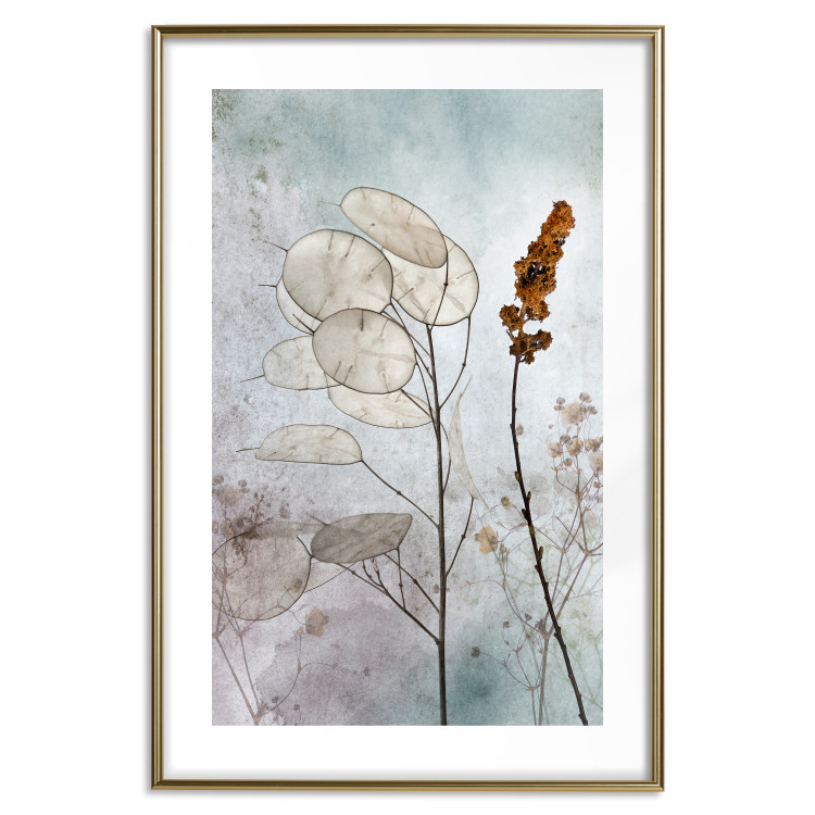 Poster Misty Lunaria - romantic meadow composition with flowers on a light background 135100 additionalImage 16