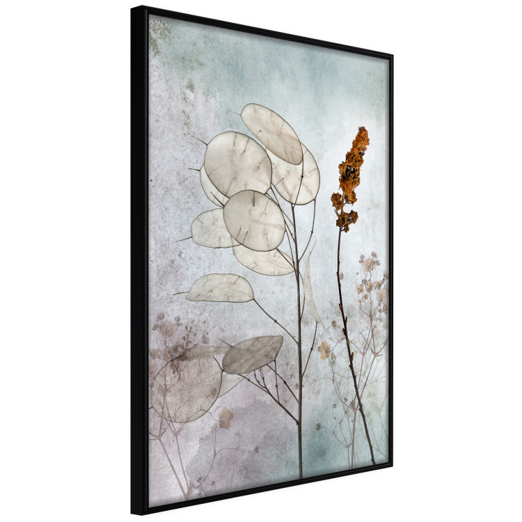 Poster Misty Lunaria - romantic meadow composition with flowers on a light background 135100 additionalImage 10
