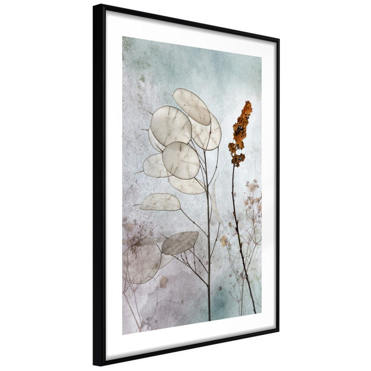 Poster Misty Lunaria - romantic meadow composition with flowers on a light background 135100 additionalImage 2