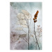 Poster Misty Lunaria - romantic meadow composition with flowers on a light background 135100