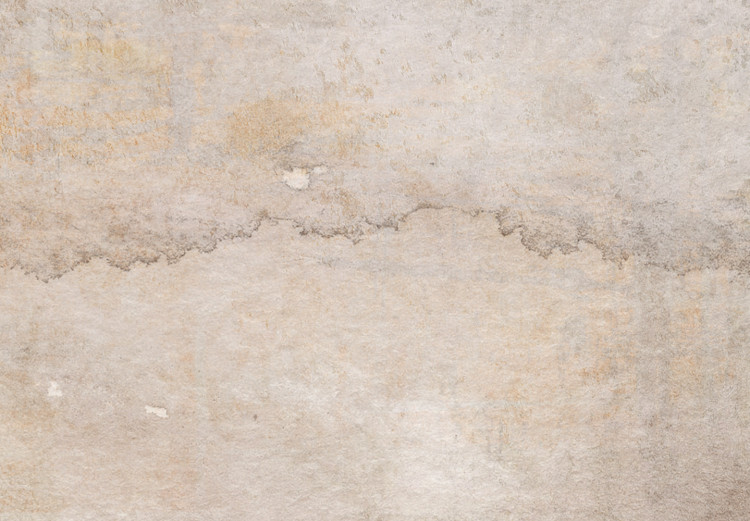 Canvas Print Foggy Thoughts - Beige Abstract Background in Vintage Style 143800 additionalImage 4