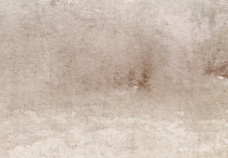 Canvas Print Foggy Thoughts - Beige Abstract Background in Vintage Style 143800 additionalImage 5