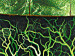 Canvas Print Emerald mystery 49900 additionalThumb 3
