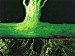 Canvas Print Emerald mystery 49900 additionalThumb 2