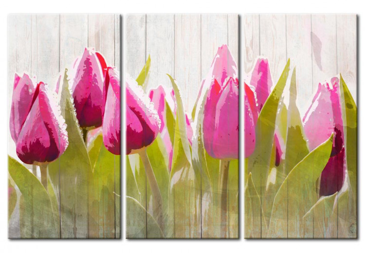 Canvas Art Print Spring bouquet of tulips 50200
