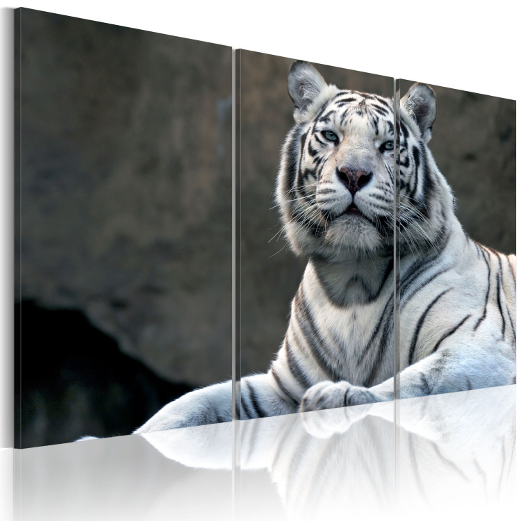 Canvas White tiger 58600 additionalImage 2