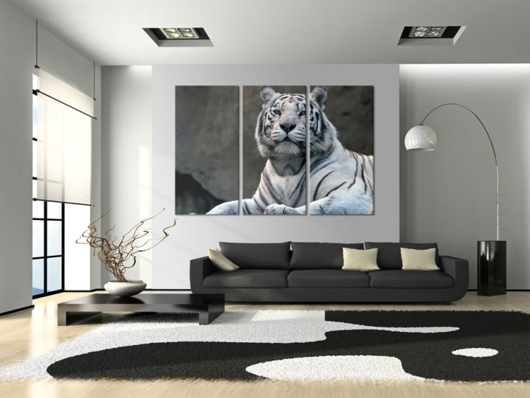 Canvas White tiger 58600 additionalImage 3
