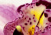 Canvas Print Unusual orchid 58700 additionalThumb 5