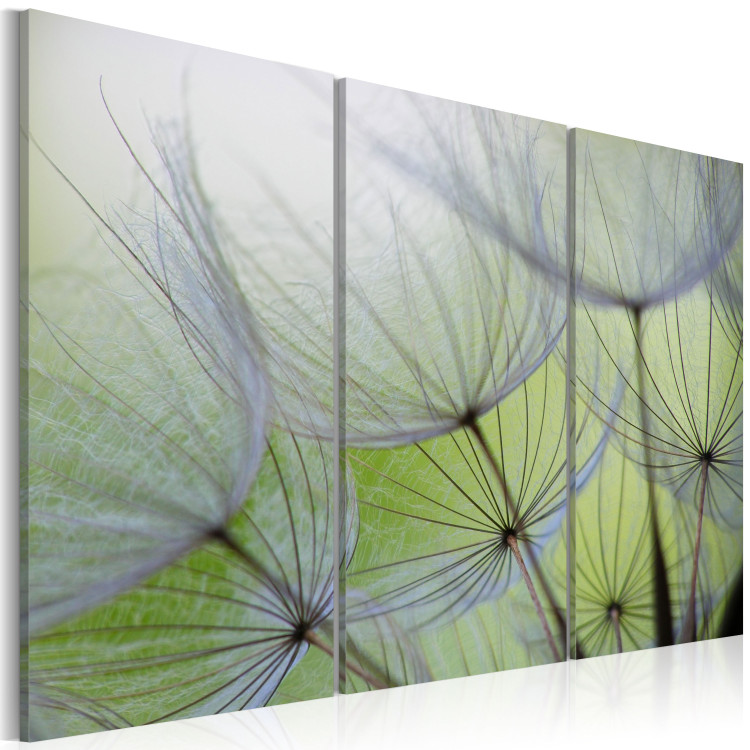 Canvas Art Print Dandelions on the meadow 58800 additionalImage 2