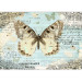 Wall Mural Postcard with a Butterfly - Butterfly on a blue background with retro captions and notes 61300 additionalThumb 3
