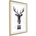Wall Poster Abstract Antlers - black and white abstract composition with a deer 114310 additionalThumb 2