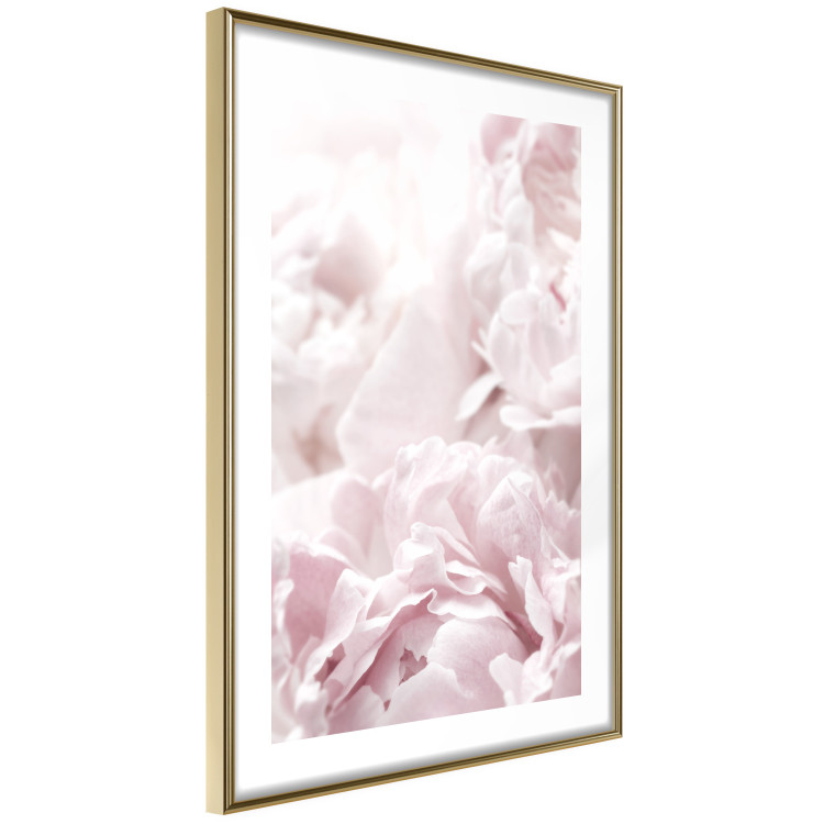 Picture wall Pink peonies 129311 additionalImage 3