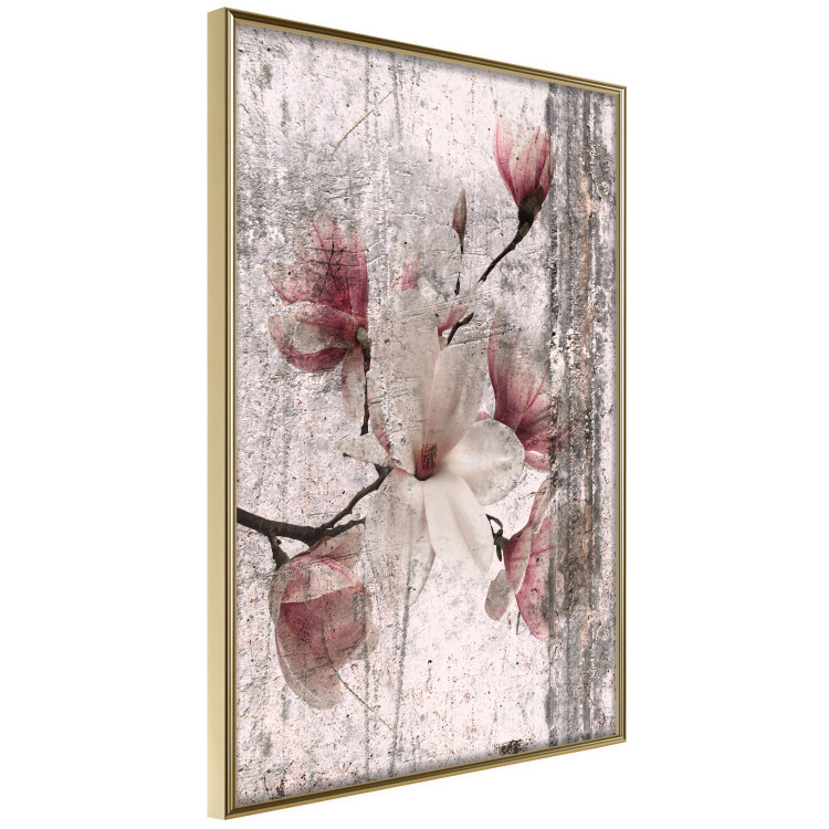 Poster Memorial Magnolia - botanical composition with vintage-style flowers 118610 additionalImage 12