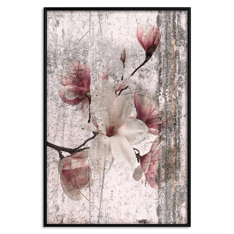 Poster Memorial Magnolia - botanical composition with vintage-style flowers 118610 additionalImage 18