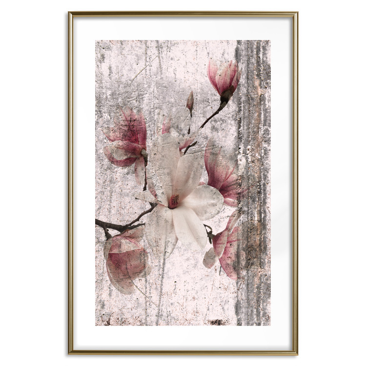Poster Memorial Magnolia - botanical composition with vintage-style flowers 118610 additionalImage 14