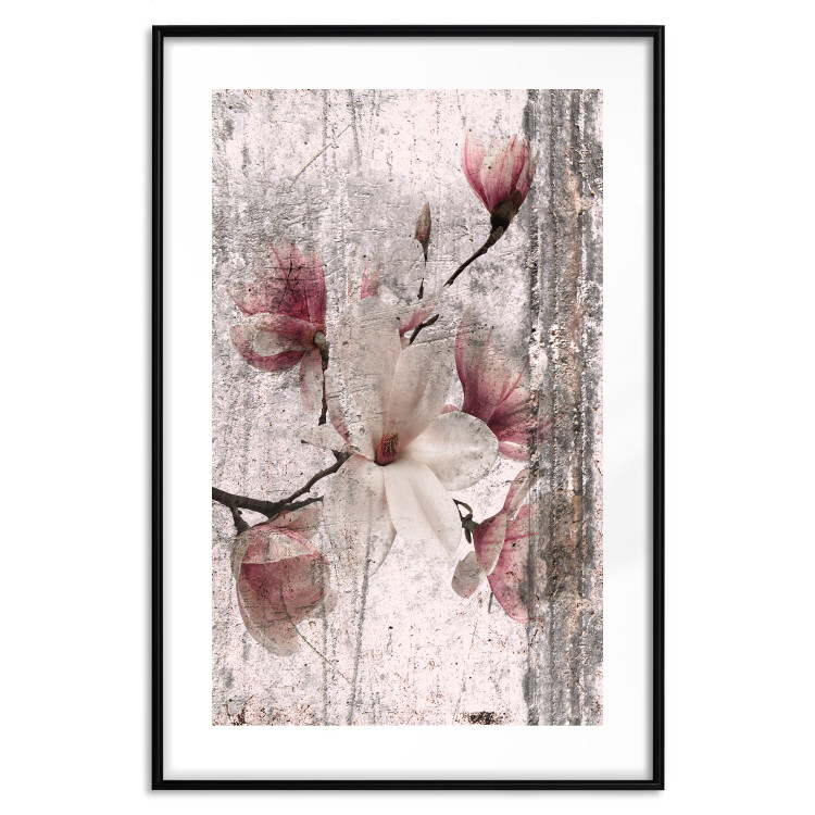 Poster Memorial Magnolia - botanical composition with vintage-style flowers 118610 additionalImage 15