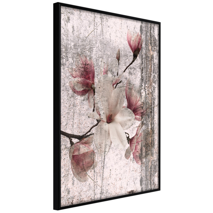 Poster Memorial Magnolia - botanical composition with vintage-style flowers 118610 additionalImage 10