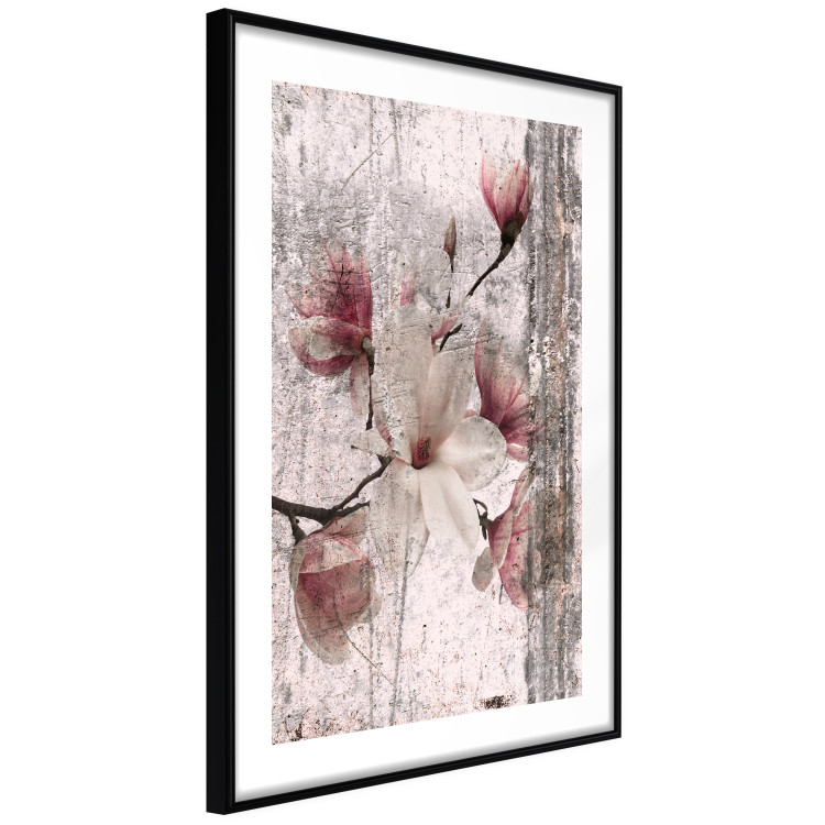 Poster Memorial Magnolia - botanical composition with vintage-style flowers 118610 additionalImage 11