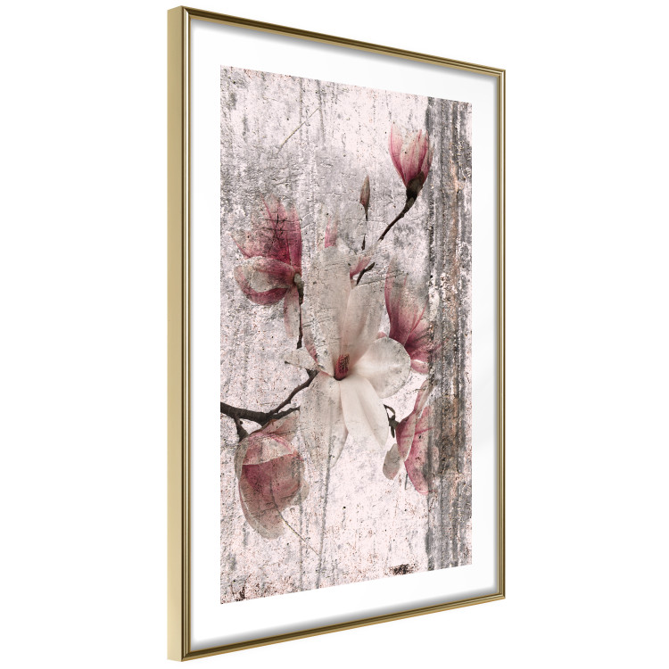 Poster Memorial Magnolia - botanical composition with vintage-style flowers 118610 additionalImage 6