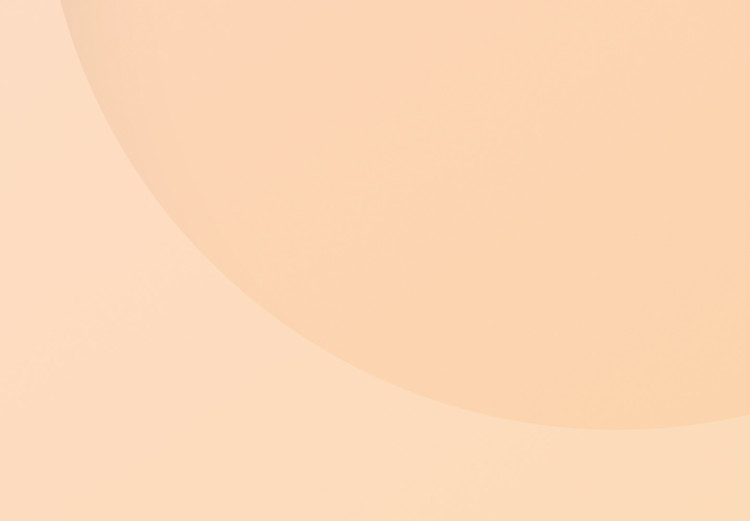 Poster Circle in Square - geometric shapes on pastel orange background 123810 additionalImage 9