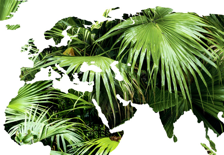 Wall Poster The World is a Jungle - text under a tropical world map on a white background 125410 additionalImage 9