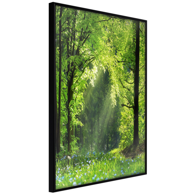 Poster Nature Rebirth - landscape of a green forest with sunbeams 126210 additionalImage 9