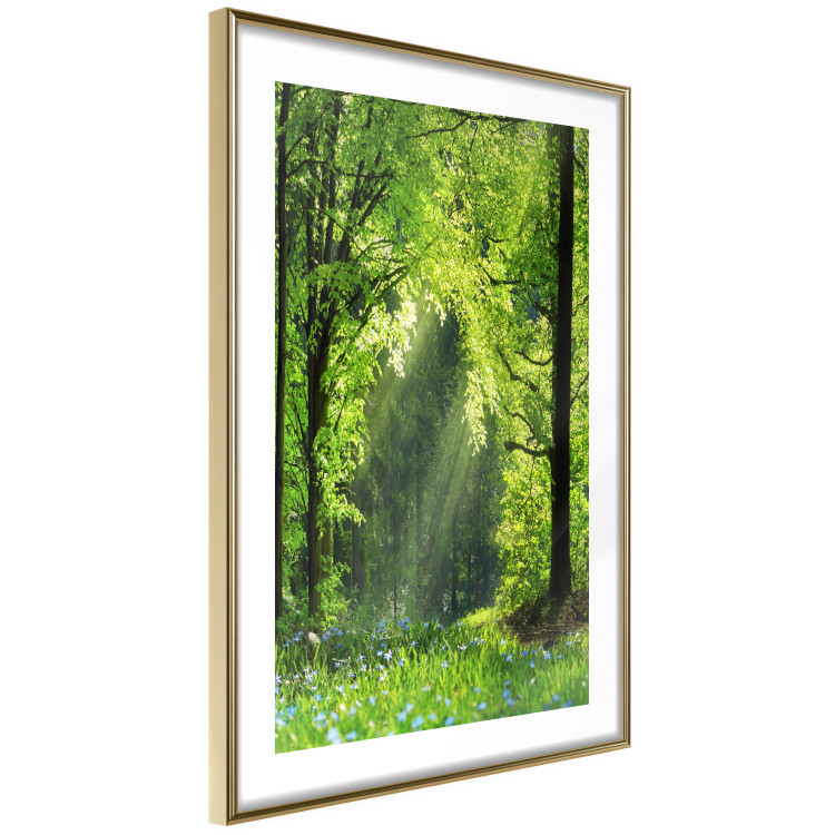 Poster Nature Rebirth - landscape of a green forest with sunbeams 126210 additionalImage 12