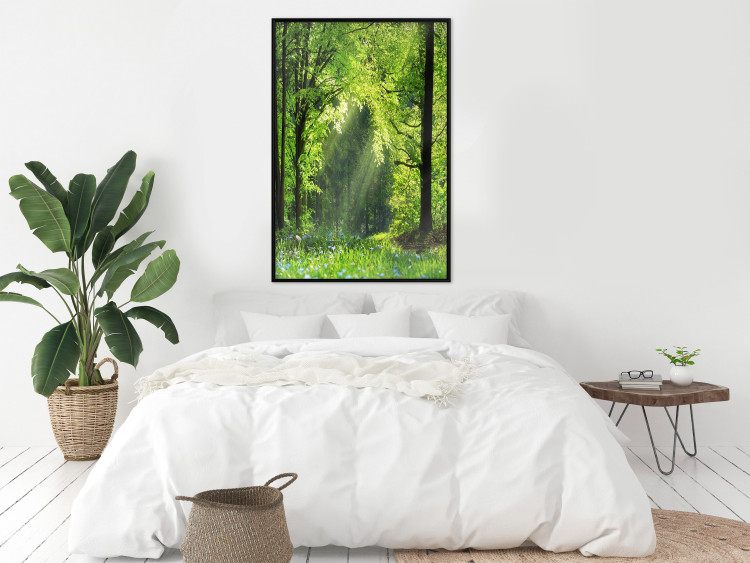 Poster Nature Rebirth - landscape of a green forest with sunbeams 126210 additionalImage 7