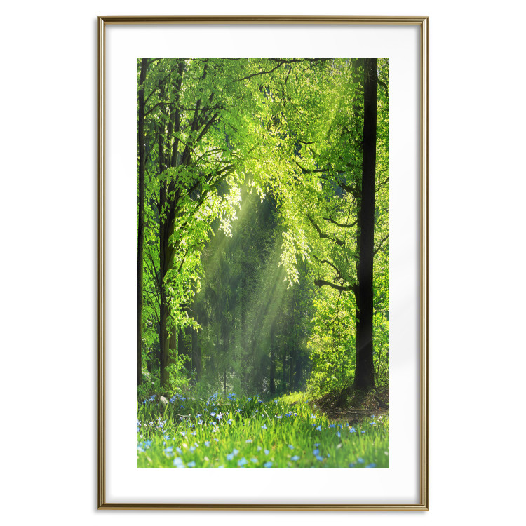 Poster Nature Rebirth - landscape of a green forest with sunbeams 126210 additionalImage 13