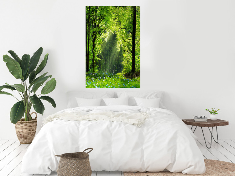 Poster Nature Rebirth - landscape of a green forest with sunbeams 126210 additionalImage 26