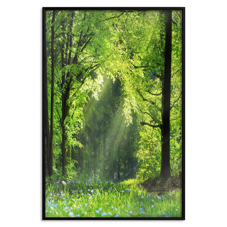 Poster Nature Rebirth - landscape of a green forest with sunbeams 126210 additionalImage 4