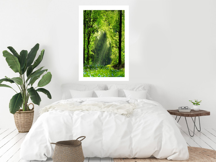 Poster Nature Rebirth - landscape of a green forest with sunbeams 126210 additionalImage 9
