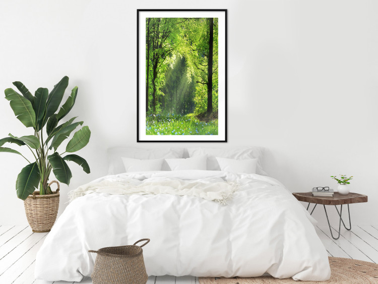 Poster Nature Rebirth - landscape of a green forest with sunbeams 126210 additionalImage 18