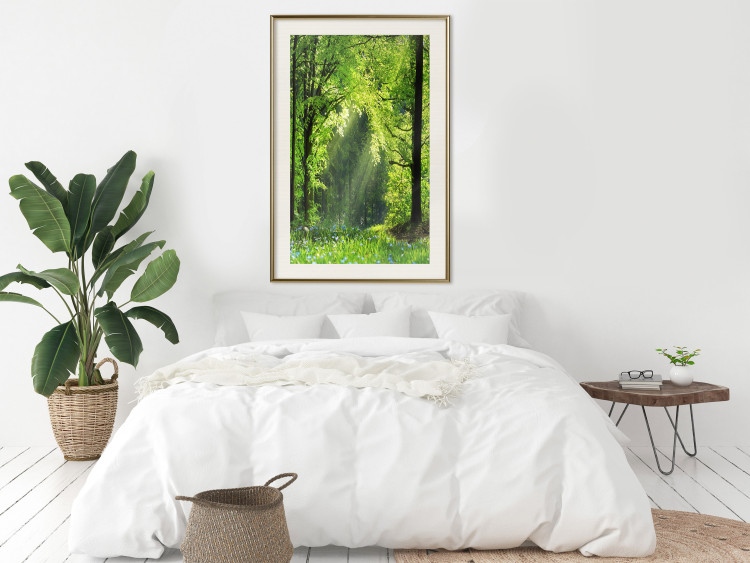 Poster Nature Rebirth - landscape of a green forest with sunbeams 126210 additionalImage 27