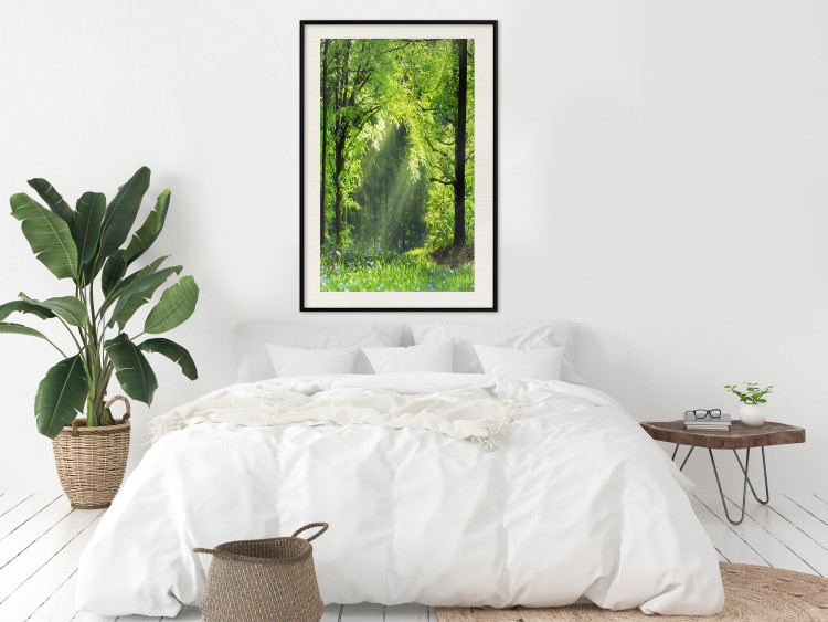 Poster Nature Rebirth - landscape of a green forest with sunbeams 126210 additionalImage 24