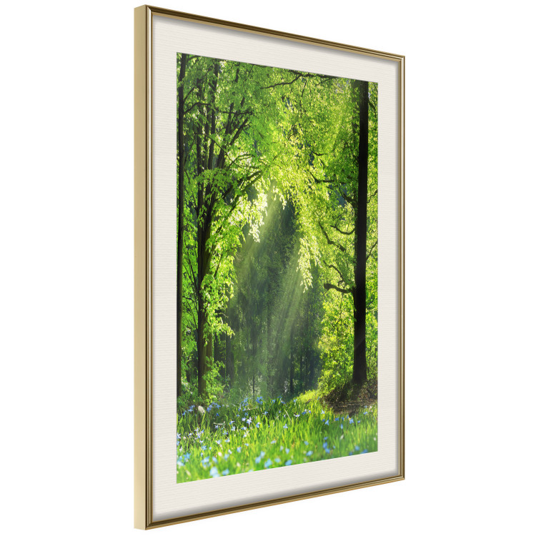 Poster Nature Rebirth - landscape of a green forest with sunbeams 126210 additionalImage 6
