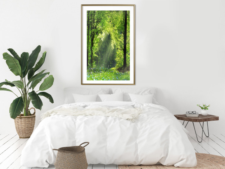 Poster Nature Rebirth - landscape of a green forest with sunbeams 126210 additionalImage 22