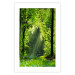 Poster Nature Rebirth - landscape of a green forest with sunbeams 126210 additionalThumb 16