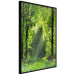 Poster Nature Rebirth - landscape of a green forest with sunbeams 126210 additionalThumb 9