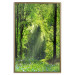 Poster Nature Rebirth - landscape of a green forest with sunbeams 126210 additionalThumb 17