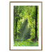 Poster Nature Rebirth - landscape of a green forest with sunbeams 126210 additionalThumb 13