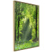 Poster Nature Rebirth - landscape of a green forest with sunbeams 126210 additionalThumb 10