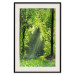 Poster Nature Rebirth - landscape of a green forest with sunbeams 126210 additionalThumb 18