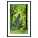 Poster Nature Rebirth - landscape of a green forest with sunbeams 126210 additionalThumb 16