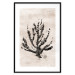 Wall Poster Sea Plant - black plant composition on a beige textured background 134510 additionalThumb 15
