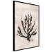 Wall Poster Sea Plant - black plant composition on a beige textured background 134510 additionalThumb 11