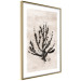 Wall Poster Sea Plant - black plant composition on a beige textured background 134510 additionalThumb 8